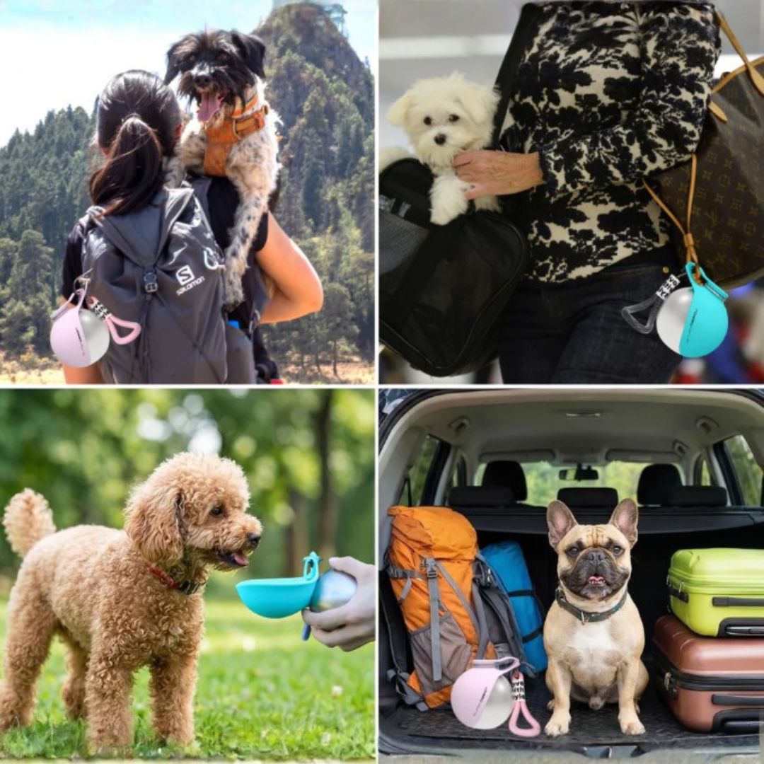 Botella de Acero Inoxidable con Tazón Integrado: Hidratación Premium para tu Mascota